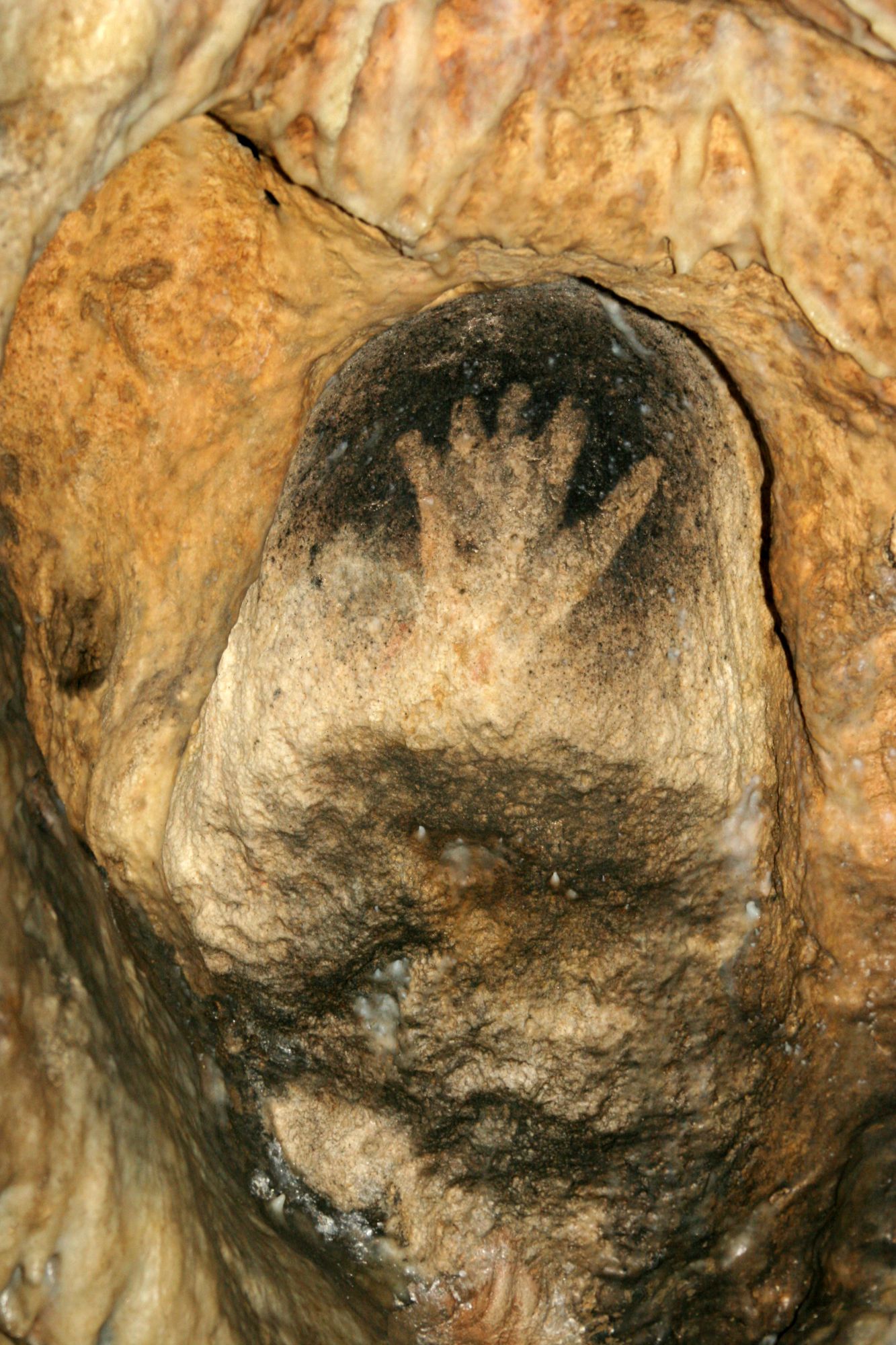 Main à la niche à la Grotte de Gargas - copyright Springinsfeld